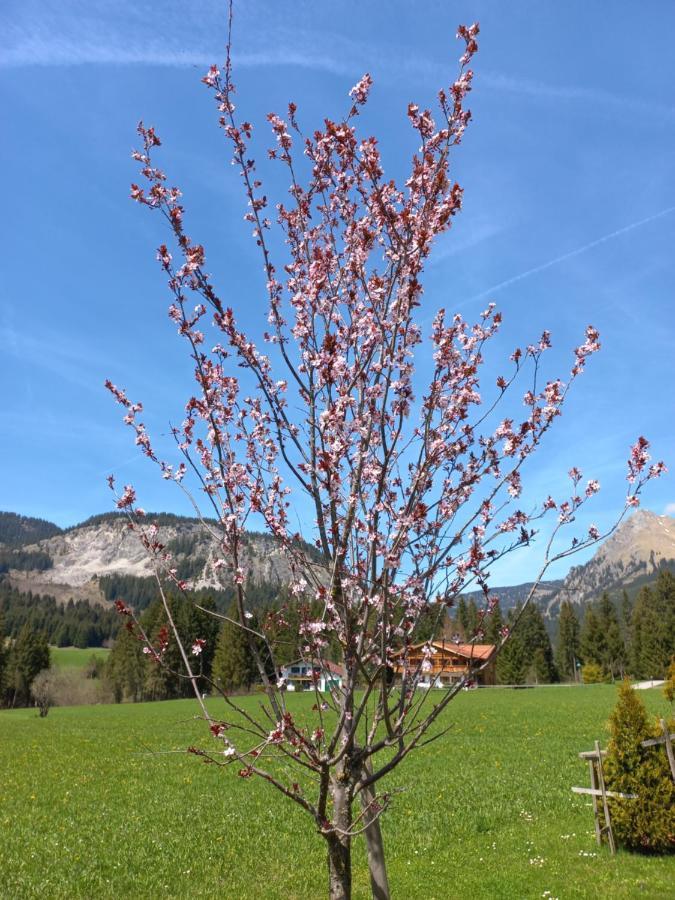 Apartmán Am Schwand Grän Exteriér fotografie